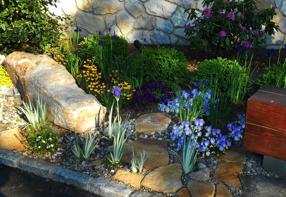 9 Stenger 6 BracN Iris siberica a pallida Variegata Garden Lahaska  5-15 (1)